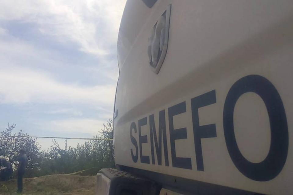 New Project - 2019-11-11T112242.066 Con huellas de violencia, encuentran mujer muerta a inmediaciones de El Tule