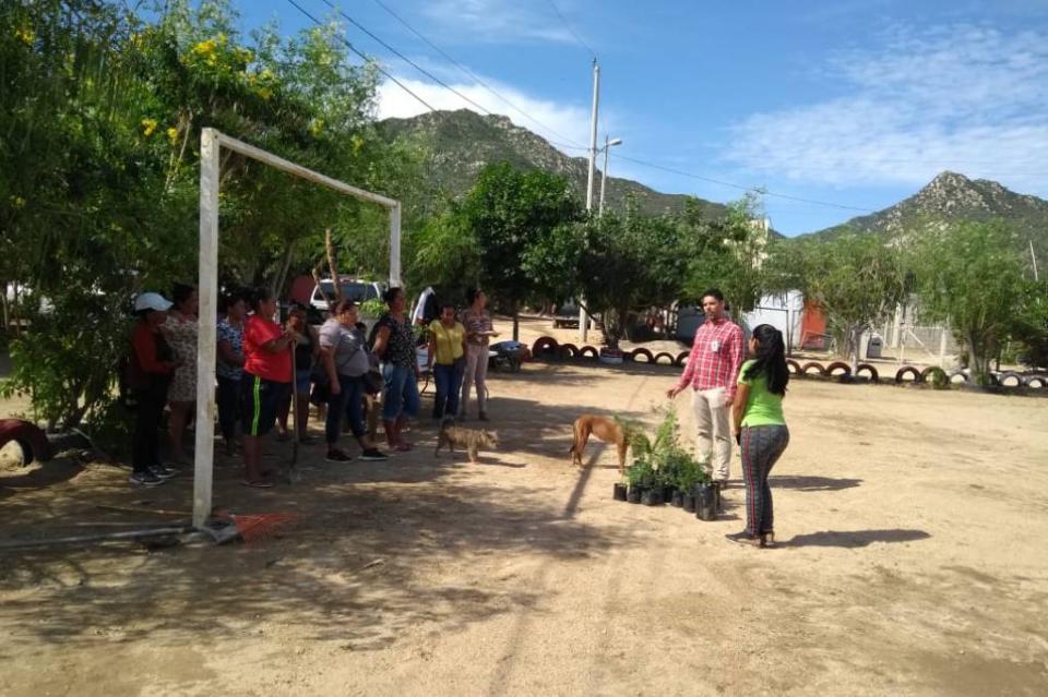 New Project - 2019-11-17T204717.974 Continúa la XIII Administración reforestando Los Cabos