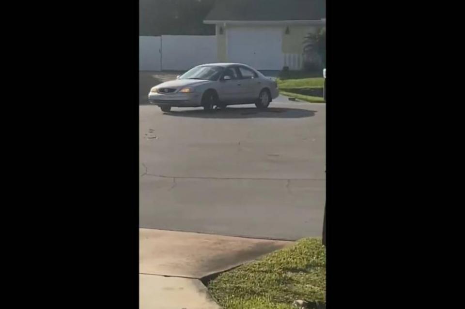 New Project - 2019-11-22T192103.557 Captan a un perro solo dando vueltas en un auto en Florida