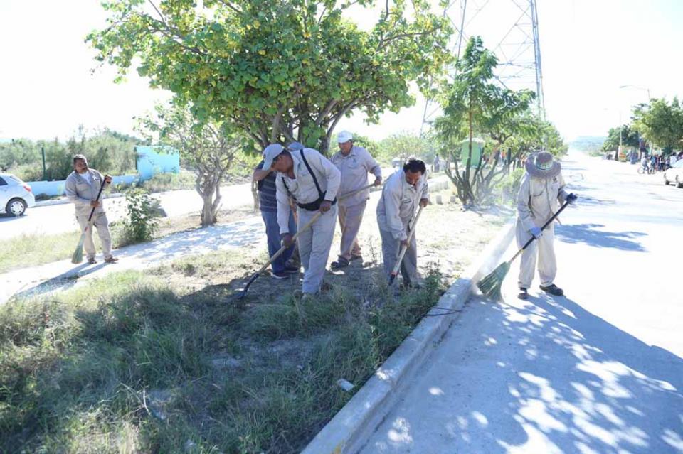 Se realizan intensas Jornadas de Limpieza en San José del Cabo Se realizan intensas Jornadas de Limpieza en San José del Cabo