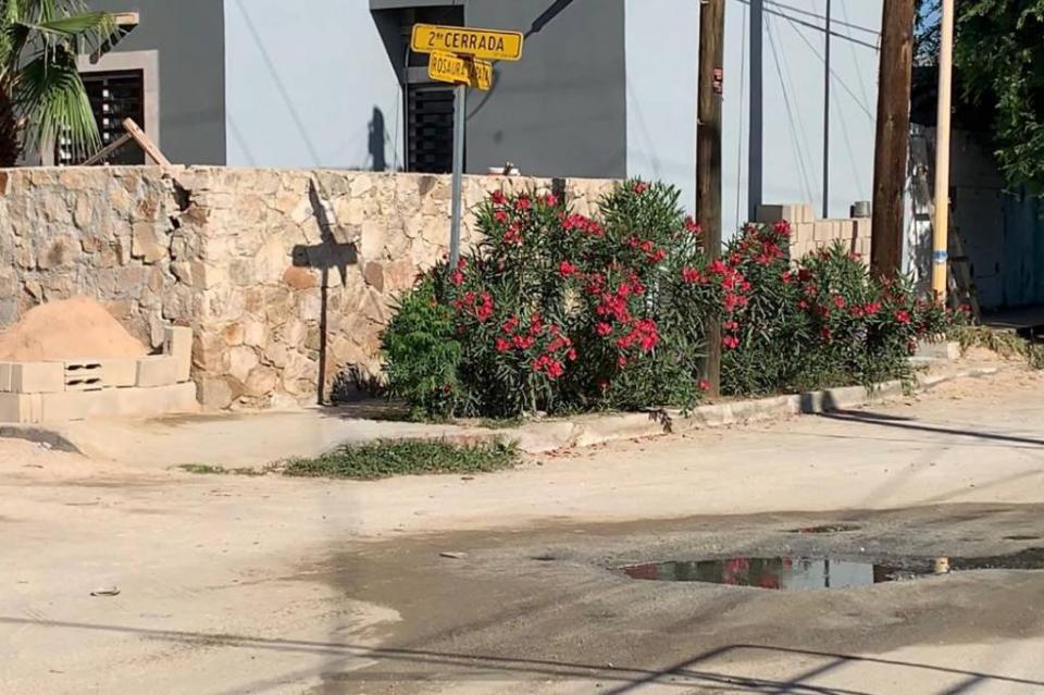 En Infonavit Brisas ya no quieren vivir entre aguas negras En Infonavit Brisas ya no quieren vivir entre aguas negras