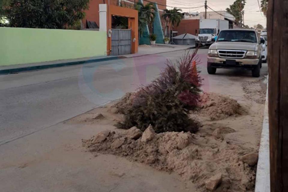 Obras de protección y presas, proyectos alternativos para Los Cabos, planta CONAGUA Obras de protección y presas, proyectos alternativos para Los Cabos, plantea CONAGUA