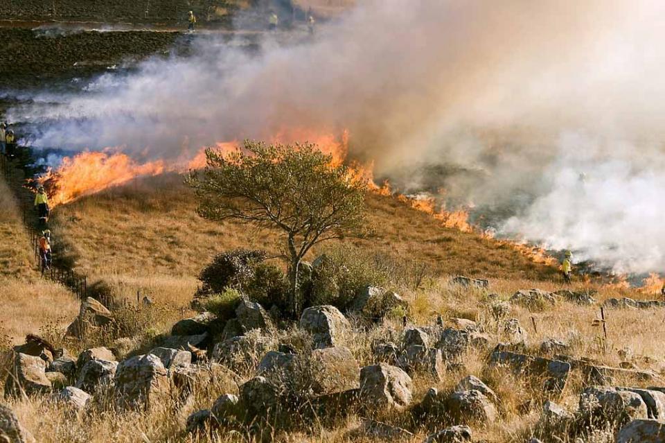 Alerta mundial por crisis climática Alerta mundial por crisis climática