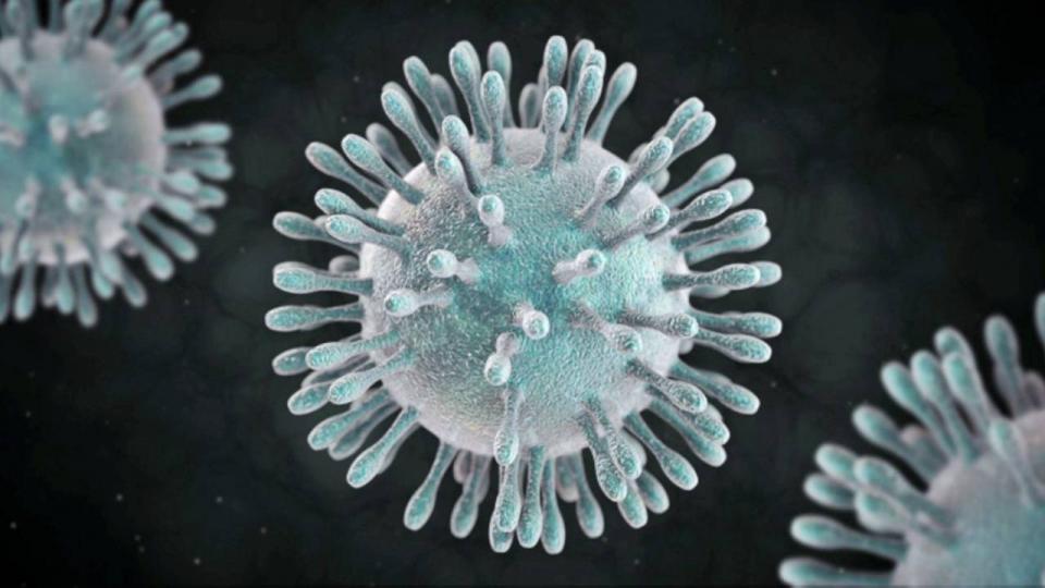 BCS sigue libre de coronavirus Confirman dos nuevos casos por COVID-19 en Tamaulipas; suman 58