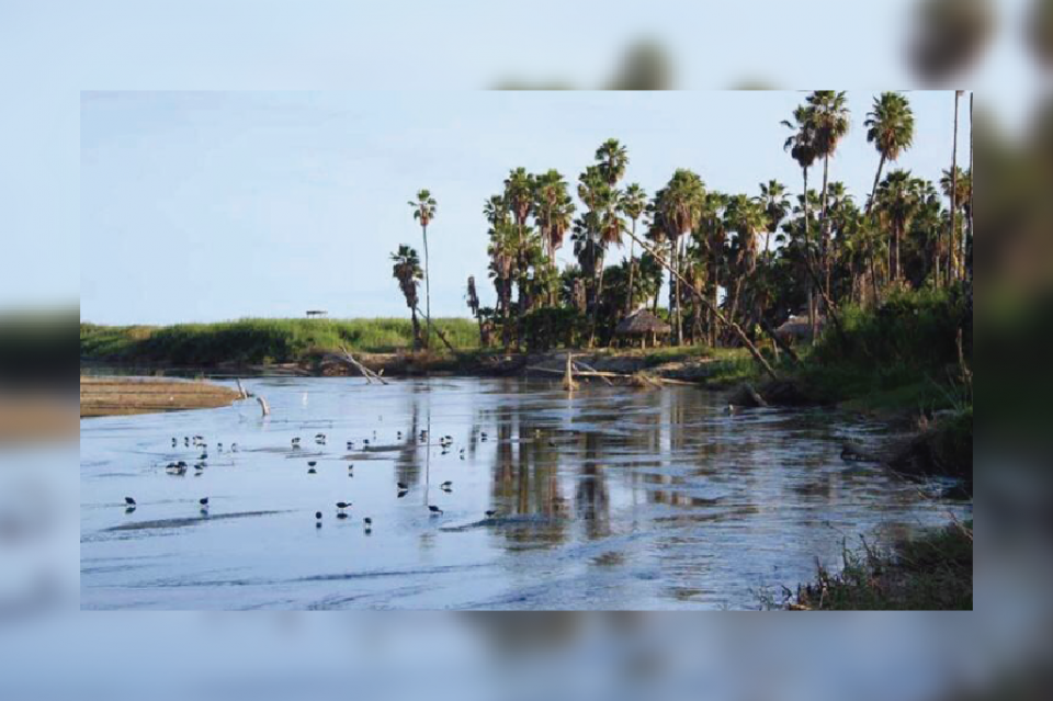 estero-01 Que el estero no solo sea tema de moda, urge que sesione el consejo