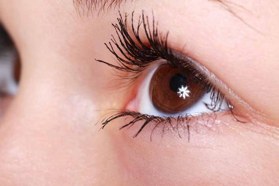 Expertos del Cinvestav estudian células madre para regenerar retinas Expertos del Cinvestav estudian células madre para regenerar retinas