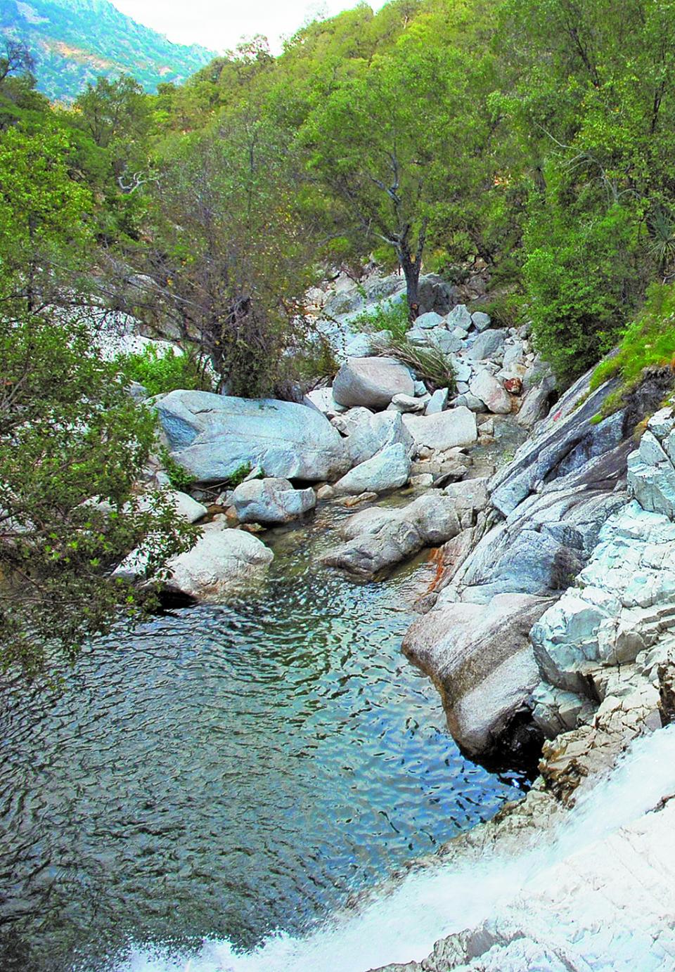 Vive Sierra de La Laguna estrés hídrico debido al crecimiento poblacional y turístico en la entidad: Conanp Vive Sierra de La Laguna estrés hídrico debido al crecimiento poblacional y turístico en la entidad: Conanp