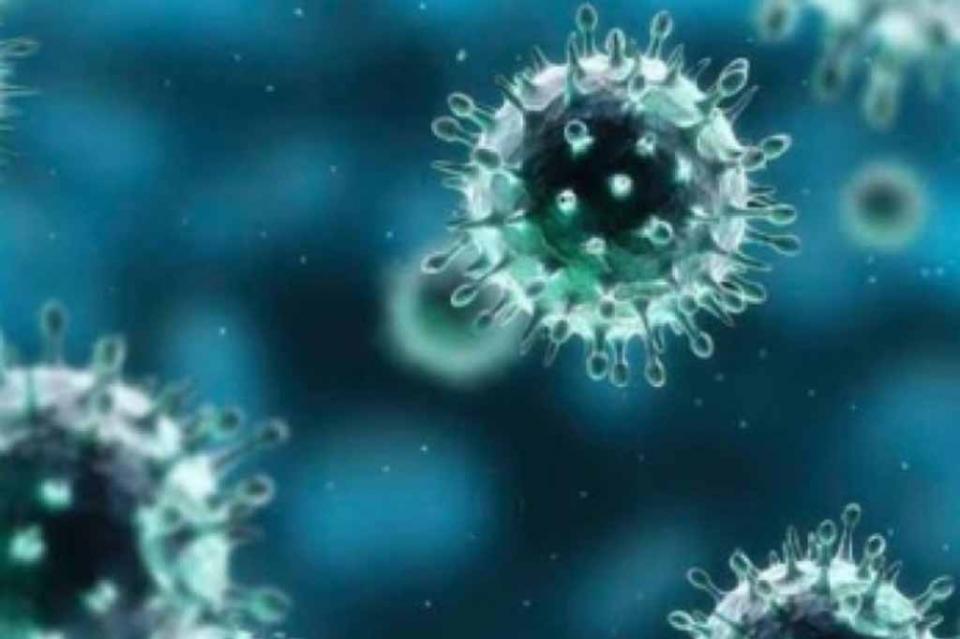 OMS analiza posible alerta global por coronavirus chino OMS analiza posible alerta global por coronavirus chino