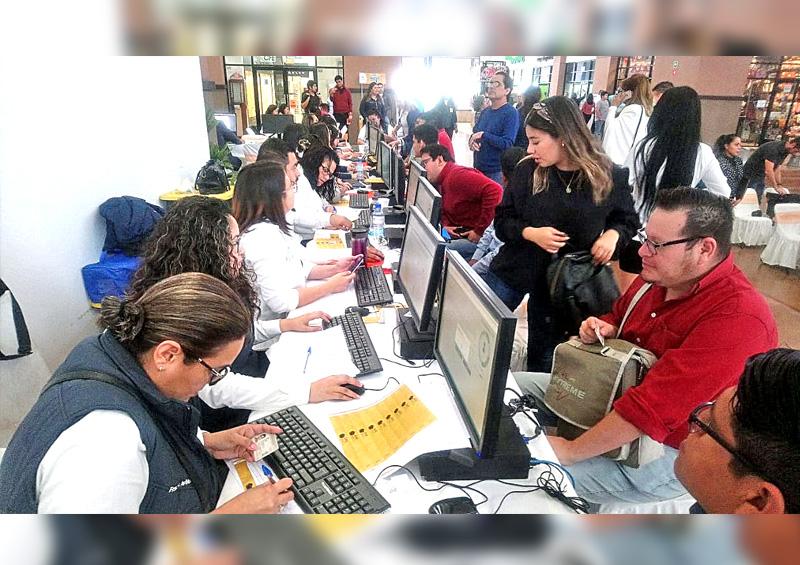 Crecen 1.6% los empleos formales en BCS Crecen 1.6% los empleos formales en BCS