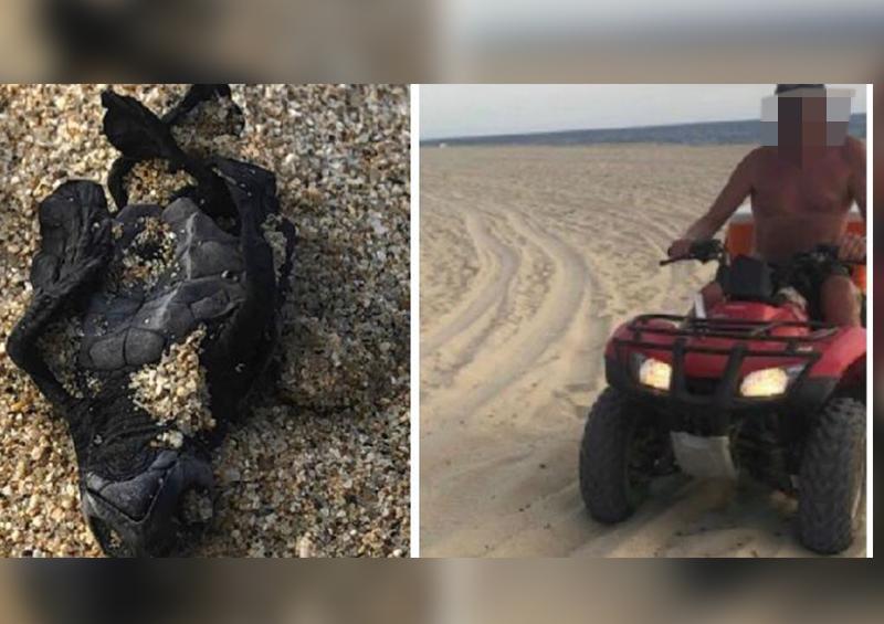 Sin título-1 Depredador de tortugas amenaza a mujer de Todos Santos