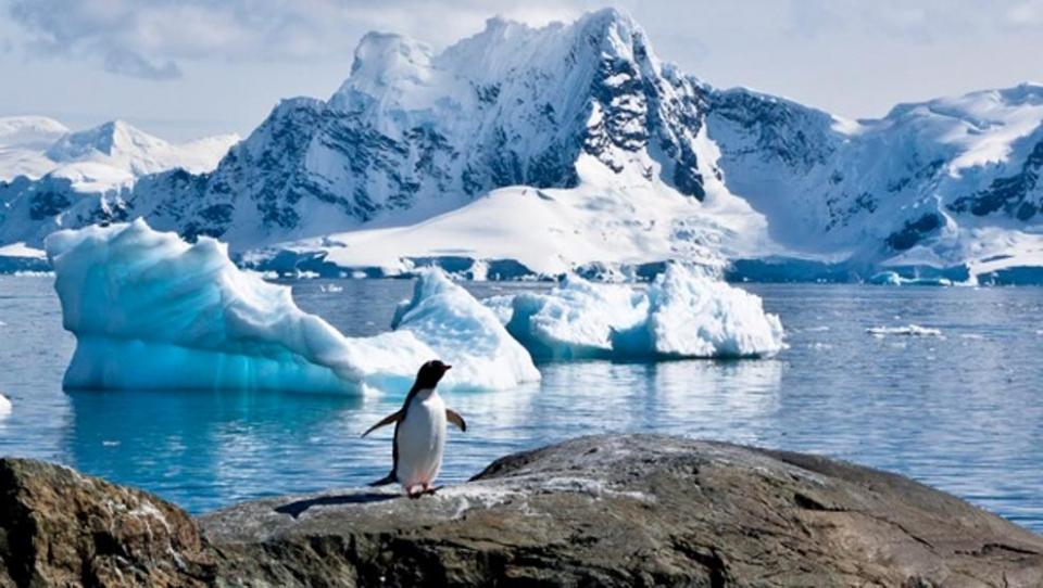 antardi Aumenta a más de 20 grados la temperatura en la Antártida