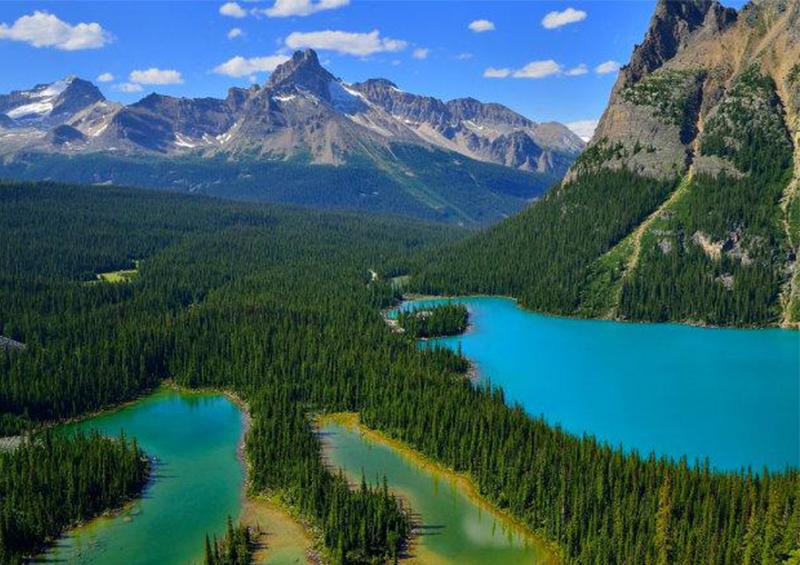gfhg México y Canadá se unen por el cuidado y conservación de áreas protegidas