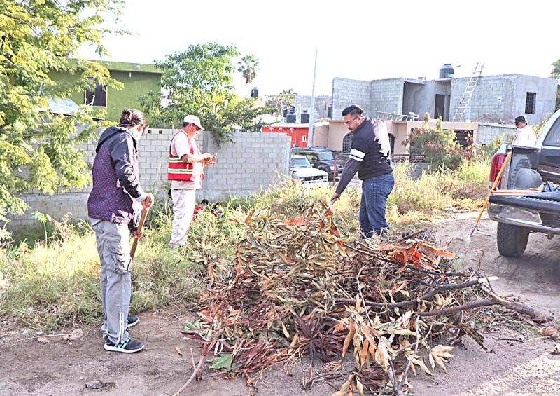 Realizan campañas de limpieza en colonias de CSL Realizan campañas de limpieza en colonias de CSL