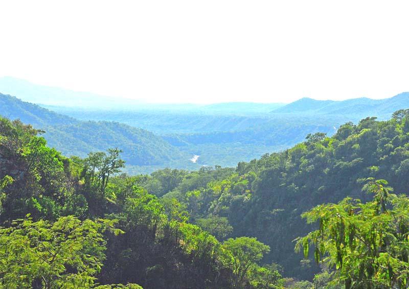 Va sector empresarial por la defensa del dorado y protección de la Sierra de la Laguna y el desierto: Julio Castillo Va sector empresarial por la defensa del dorado y protección de la Sierra de la Laguna