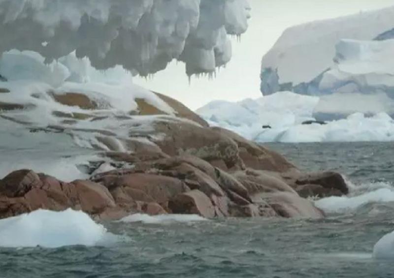 bhmn Aparece isla en la Antártida por deshielo