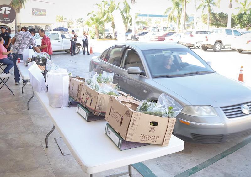 Impulsan a productores locales con programa “Los Cabos Consume Local” Impulsan a productores locales con programa “Los Cabos Consume Local”
