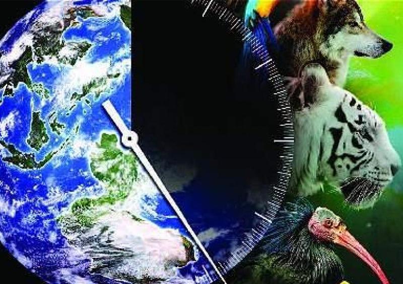 crisis de biodiversidad Científicos señalan crisis de biodiversidad en el mundo