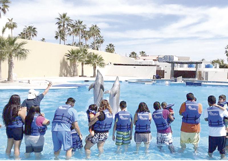 Gestiona Gobierno Municipal terapias con delfines para la niñez con discapacidad Gestiona Gobierno Municipal terapias con delfines para la niñez con discapacidad