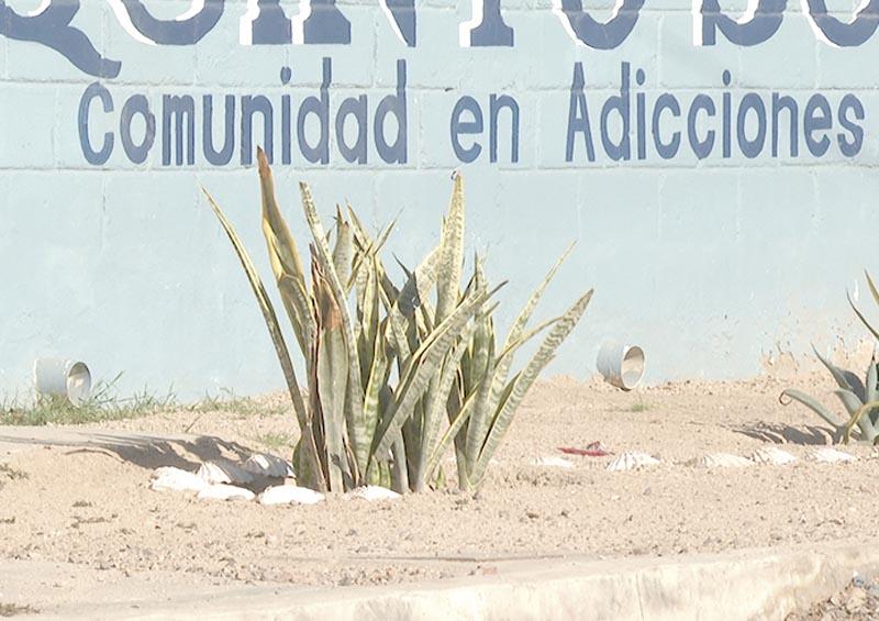 El 70% de internos en anexos son ingresados por consumo de marihuana o cristal El 70% de internos en anexos son ingresados por consumo de marihuana o cristal