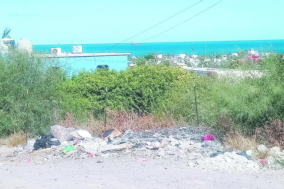 Cansados del foco de infección vecinos de Colina de la Cruz piden apoyo a Servicios Públicos para limpiar la zona Cansados del foco de infección vecinos de Colina de la Cruz piden apoyo a Servicios Públicos para limpiar la zona