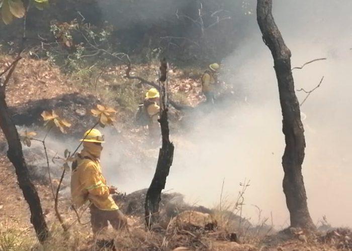 Incendios Reportan 72 incendios forestales activos: 13 en áreas protegidas