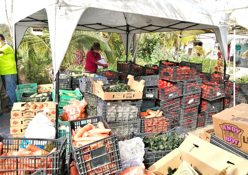 Raíz de Fondo entrega 4.5 toneladas de alimento perecedero en beneficio de grupos vulnerables Raíz de Fondo entrega 4.5 toneladas de alimento perecedero en beneficio de grupos vulnerables