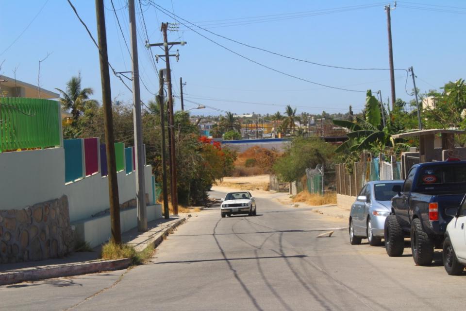 34467796-9e51-4e94-8145-2e73579425a7 Ciudadano denuncia ganado que por las madrugadas entran a su vivienda a comerse árboles frutales