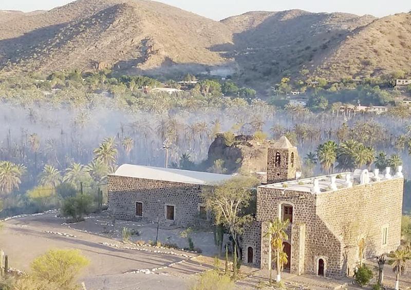 Se reactiva incendio en palmares de Heroica Mulegé Se reactiva incendio en palmares de Heroica Mulegé
