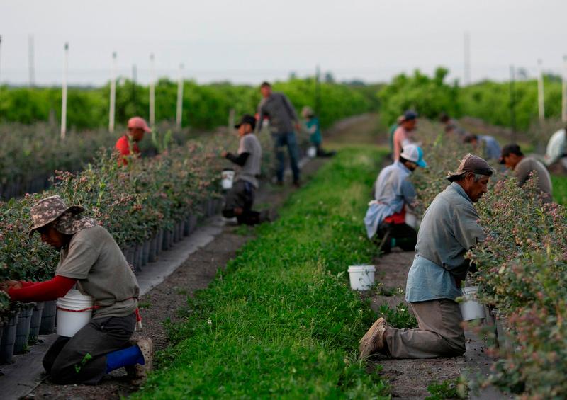 Migrantes mexicanos Trump congelará nuevos visados de trabajo de EE.UU. hasta 2021