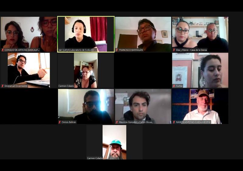 Artistas Consejo de Artistas convoca a reunión virtual para el 6 de junio