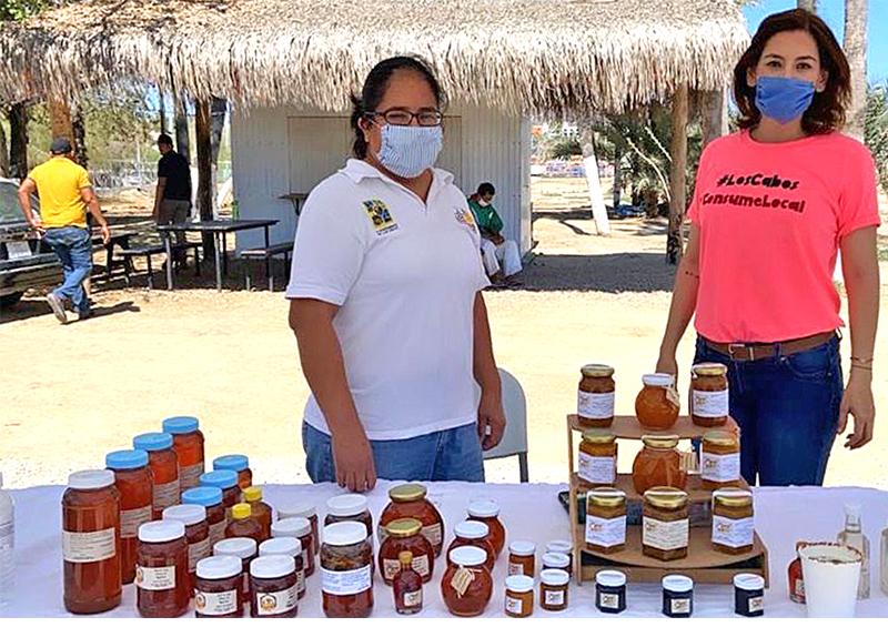 ¡Vuelve el Mercado Regional de Los Cabos! ¡Vuelve el Mercado Regional de Los Cabos!