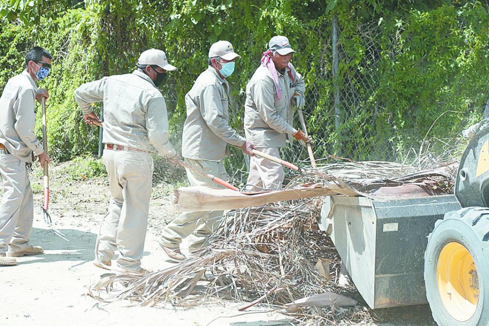 Retiran más de 380 toneladas de ramas y cacharros Retiran más de 380 toneladas de ramas y cacharros