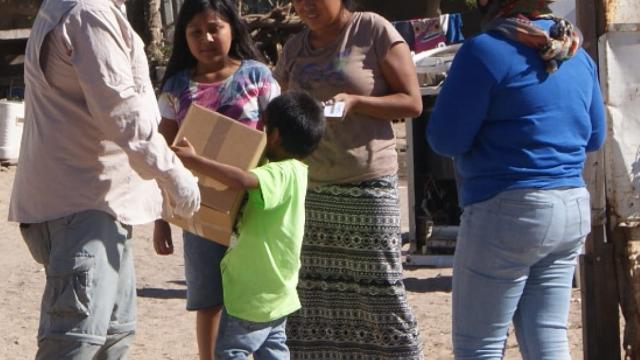 Se distribuyeron más de 216 mil despensas en BCS por la pandemia Despensas distribuidas por la pandemia en BCS
