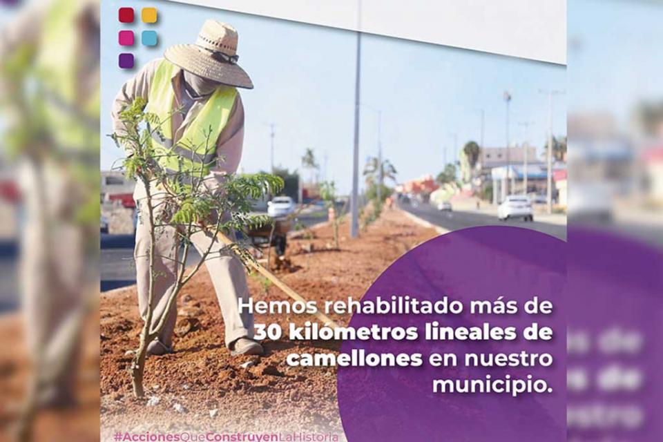 Mejora imagen de Los Cabos con obras de limpieza Mejora imagen de Los Cabos con obras de limpieza