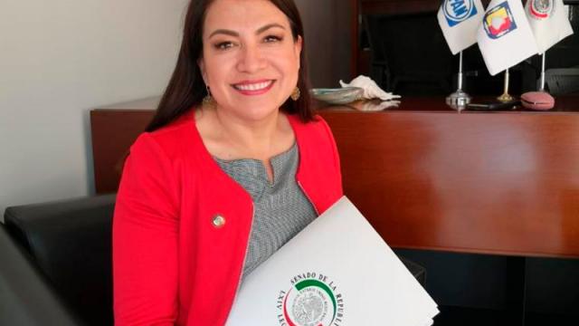 Avala CFE revisar registro de temperaturas en BCS y sea posible reducir tarifas: Lupita Saldaña Lupita Saldaña