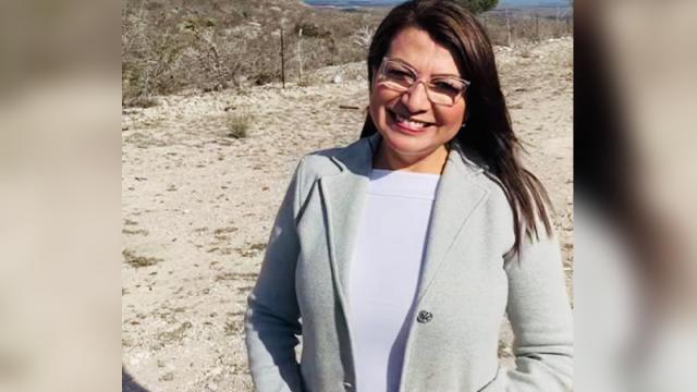 Reforma eléctrica de Gobierno Federal pone en riesgo los tratados comerciales y ambientales Lupita Saldaña