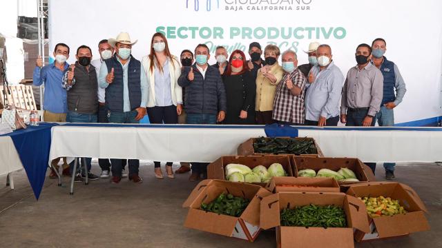El sector productivo sudcaliforniano es orgullo de BCS: Consejo Estatal Ciudadano Consejo Estatal Sectores Productivos