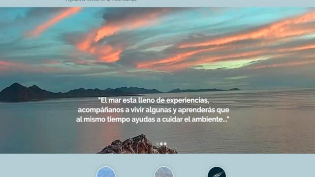 Con transmisiones en vivo, se podrá avistar la ballena azul en Loreto Con transmisiones en vivo, se podrá avistar la ballena azul en Loreto