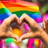 14-Gays Debate dejó fuera la diversidad sexual: Codisex