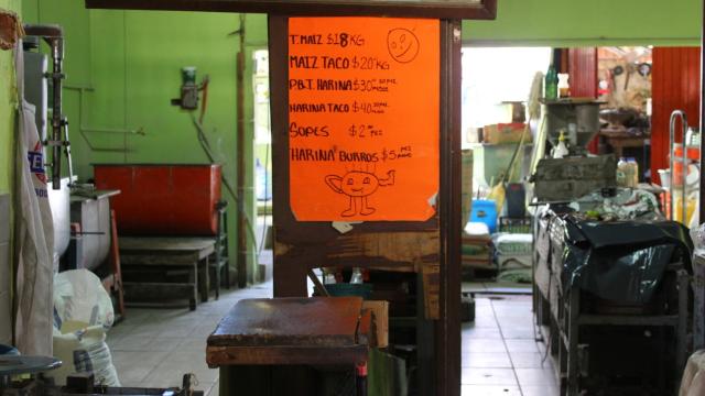 Incrementará hasta un 20% el kilo de tortilla en Los Cabos Aumenta el precio del kilo de tortilla