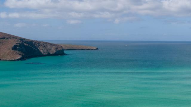 Baja Ferries da a conocer acciones para playas limpias Playas limpias en BCS