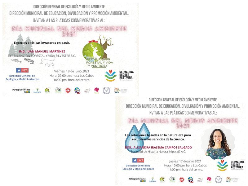 web ambiente Invitan a conversatorio virtual sobre el medio ambiente
