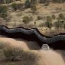 35-Frontera EU cancela 2 contratos para construcción de muro fronterizo
