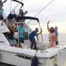 pesca1 Abandera Alcaldesa torneo Bisbee´s East Cape Offshore 2021